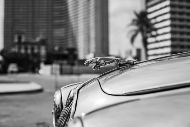 카지노 엑스트라 안드로이드/iOS 앱